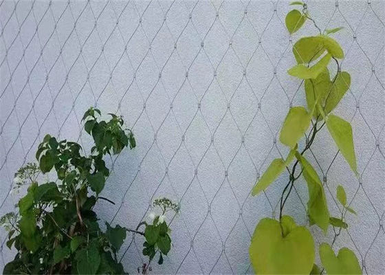 Fixed Open Style Metal Stainless Steel With Maring Area 300*300 Mm As Garden Fence