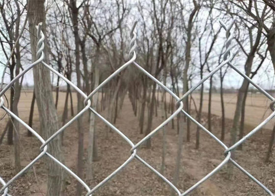 Galvanized Razor Barbed Wire Diamond Wire Mesh Chain Link Fence 4FT 5FT 6FT 8FT