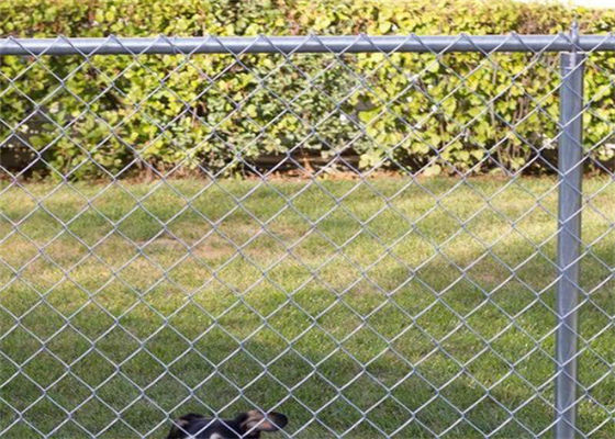 11 Gauge Temporary PVC Coated Chain Link Fence For Construction