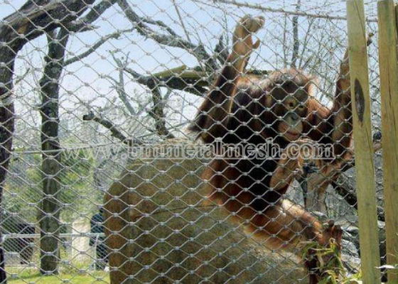 Customized Stainless Steel Ferrule Wire Mesh For Monkey/ Animal Enclosure Mesh Fence