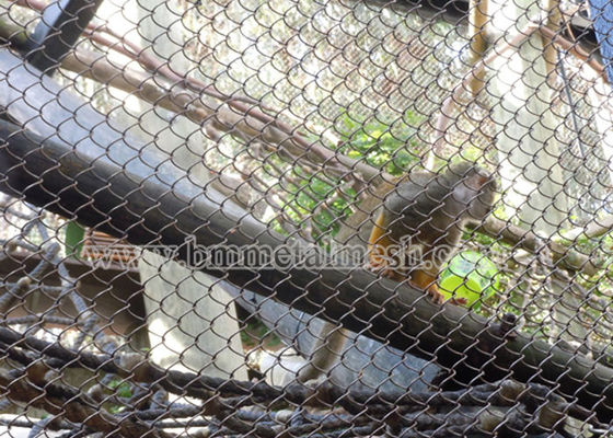 Baking Finish Architectural Metal Mesh Phantom Mesh For Zoological Decoration