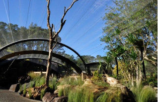 Baking Finish Architectural Metal Mesh Phantom Mesh For Zoological Decoration