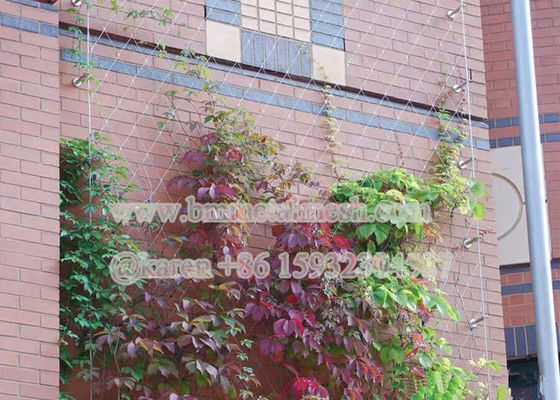 Stainless Steel Flexible Rope Mesh for Garden Climbing plants