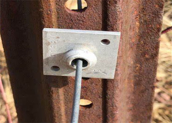 Qualità Agricoltura Ancoraggio di lucidatura Vise Grape Trellis adatto per 8~11GA filo Fabbrica